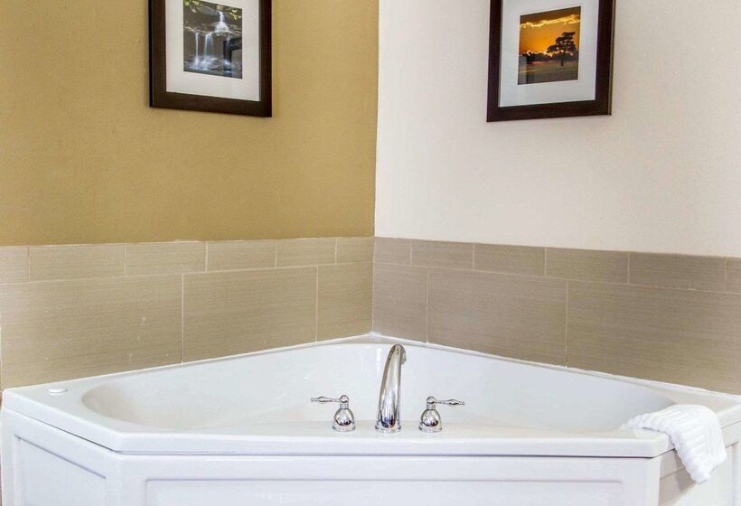 酒店 Comfort Inn Poplar Bluff North