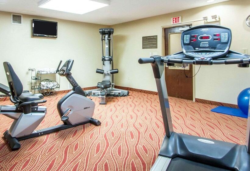 酒店 Comfort Inn Poplar Bluff North