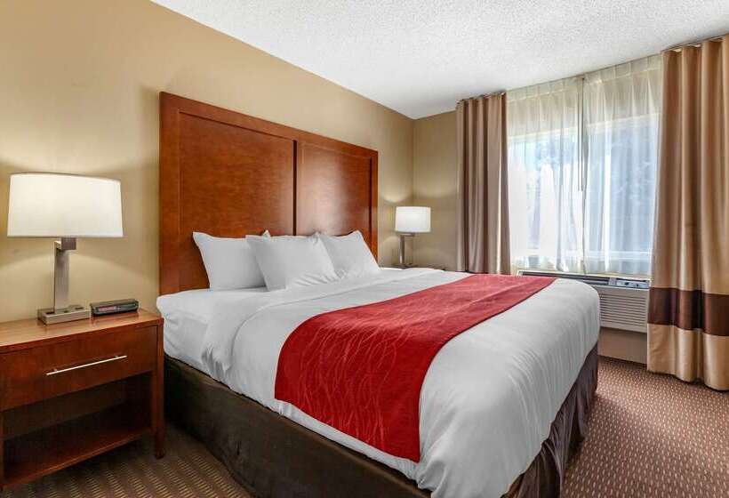 هتل Comfort Inn