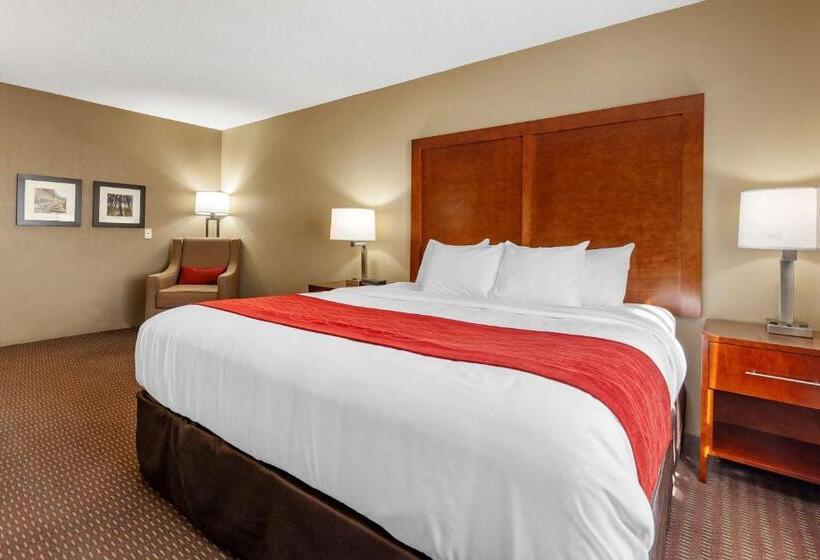 هتل Comfort Inn