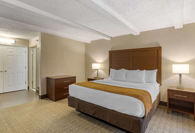 هتل Comfort Inn St. Louis  Westport Event Center