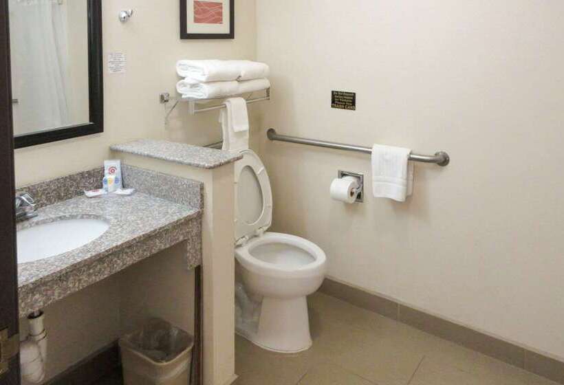 فندق Comfort Inn & Suites Alamosa