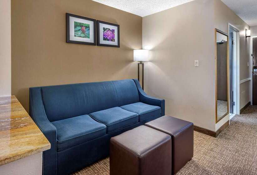 فندق Comfort Inn & Suites Kelso  Longview