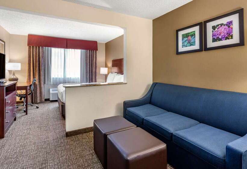 فندق Comfort Inn & Suites Kelso  Longview