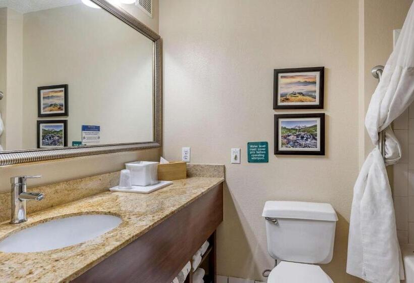 Отель Comfort Inn & Suites Kelso Longview
