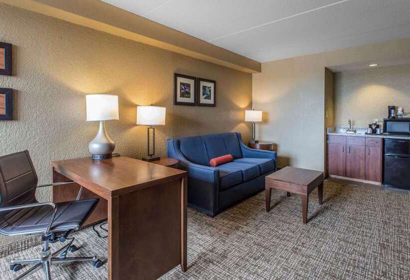 酒店 Comfort Inn & Suites Knoxville West