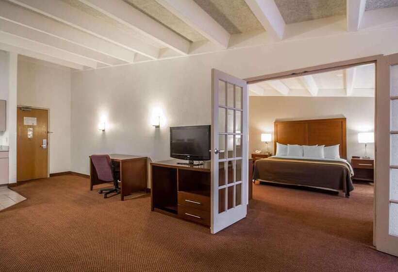 فندق Comfort Inn & Suites Madison  Airport