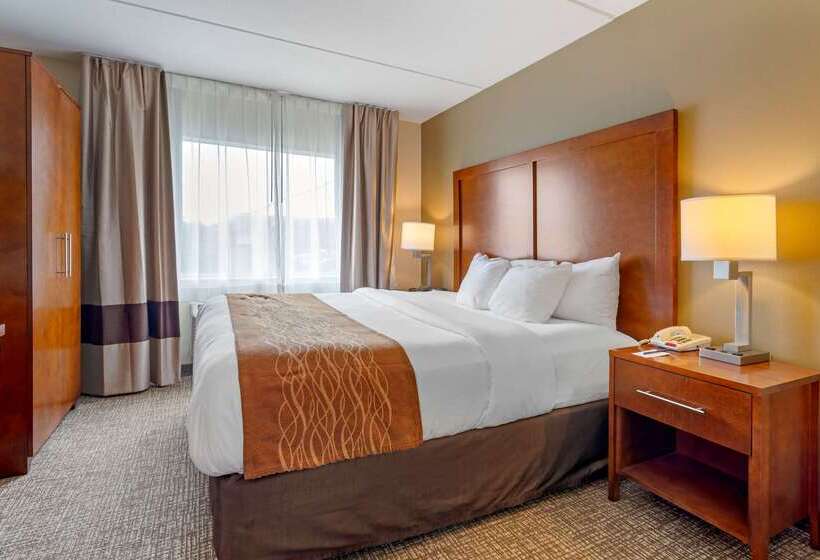 ホテル Comfort Inn & Suites Wilkes Barre  Arena