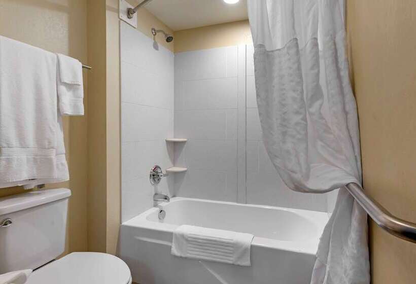 ホテル Comfort Inn & Suites Wilkes Barre  Arena