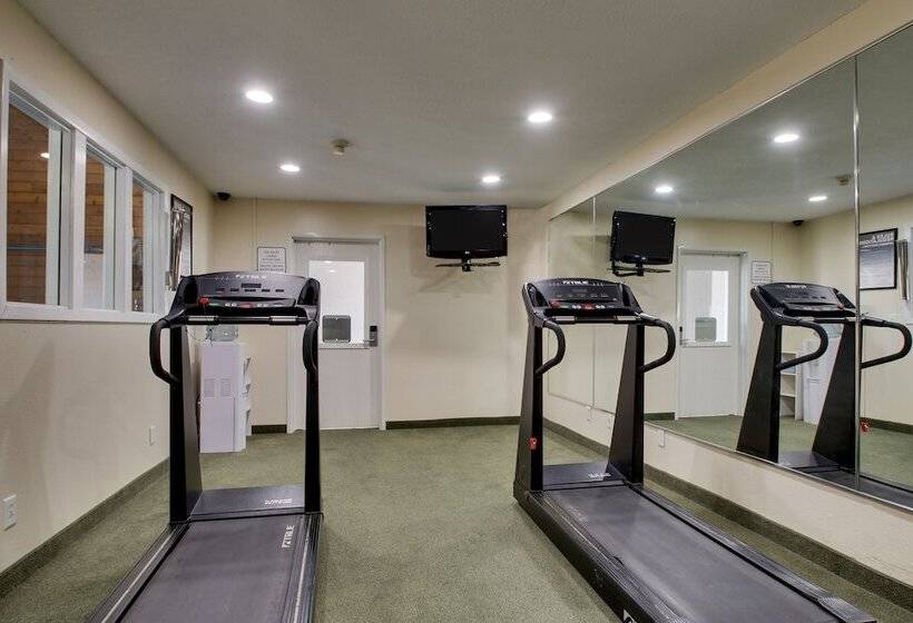 ホテル Everspring Inn & Suites