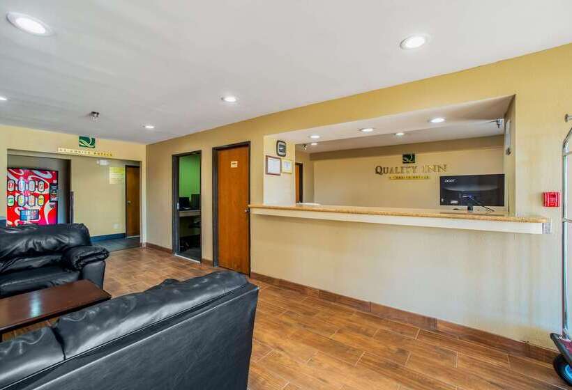 בית מלון כפרי Quality Inn Carbondale University Area