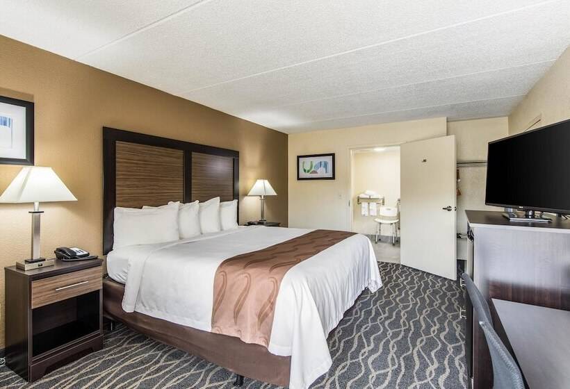 ホテル Quality Inn