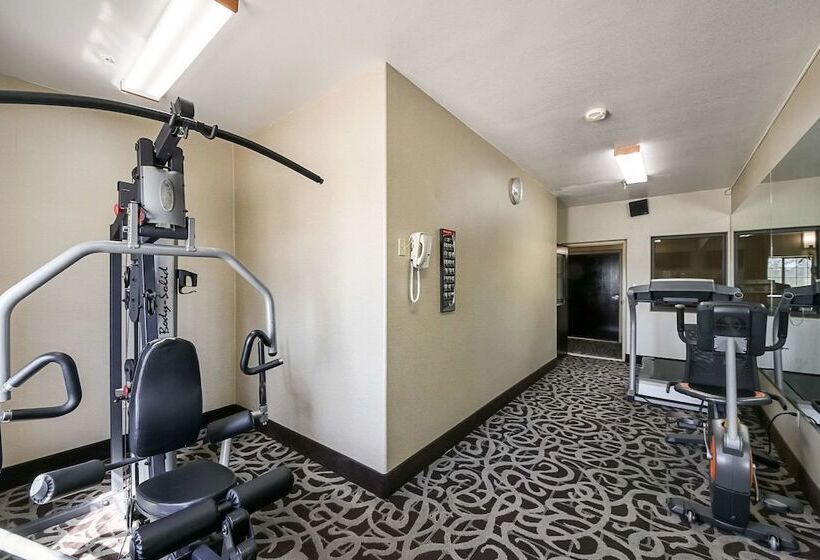 هتل Quality Inn Kingsville Hwy 77