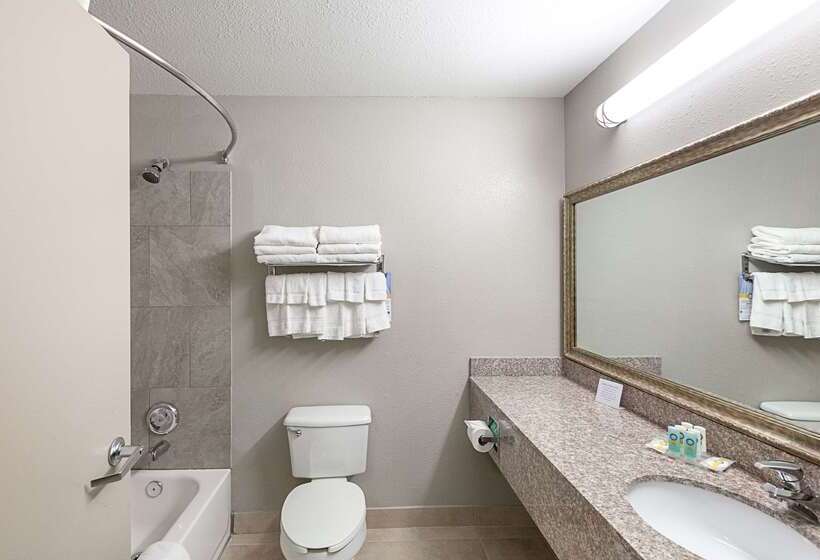 Отель Quality Inn Mesquite Dallas East