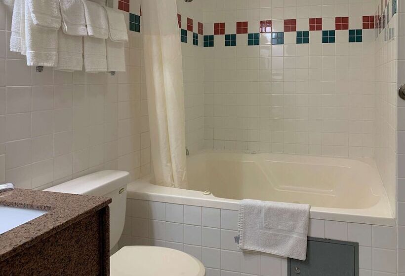 酒店 Quality Inn Ottawa Near Starved Rock State Park