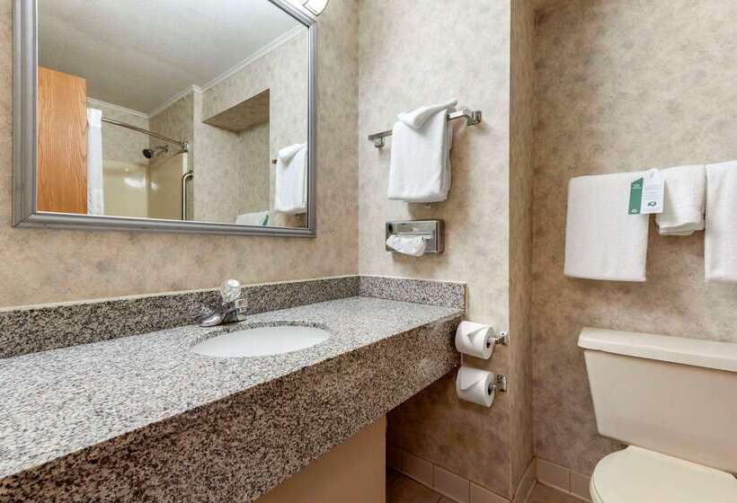 ホテル Quality Inn Selinsgrove
