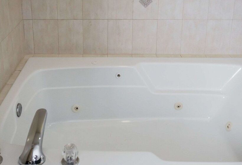 酒店 Quality Inn & Suites Dixon Near I88