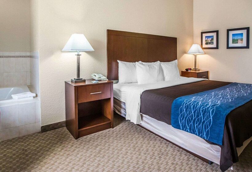 酒店 Quality Inn & Suites Dixon Near I88