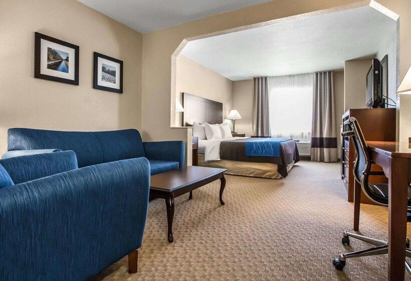 酒店 Quality Inn & Suites Dixon Near I88