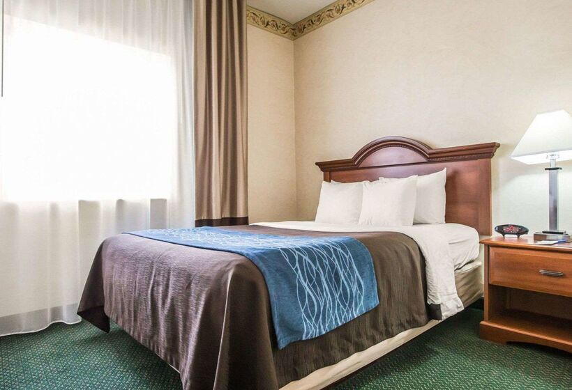 酒店 Quality Inn & Suites Dixon Near I88