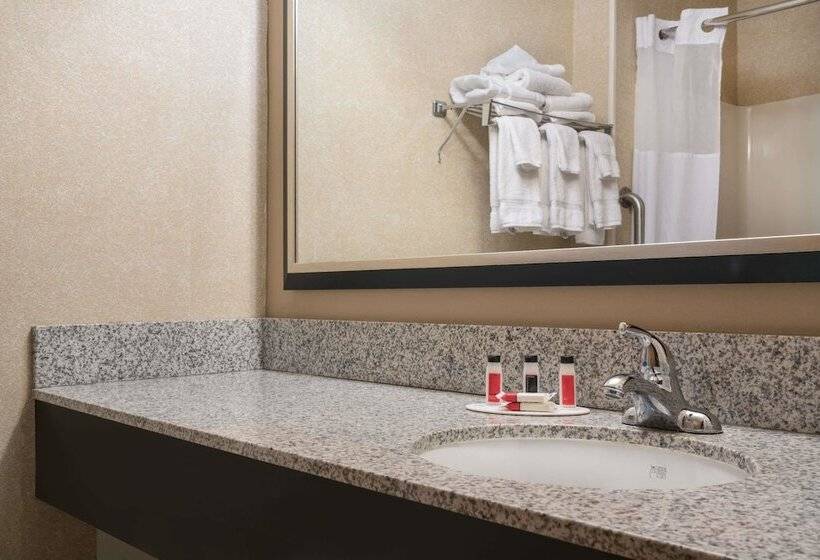酒店 Quality Inn & Suites