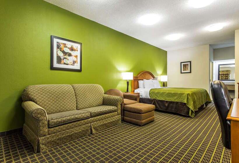 酒店 Quality Inn & Suites