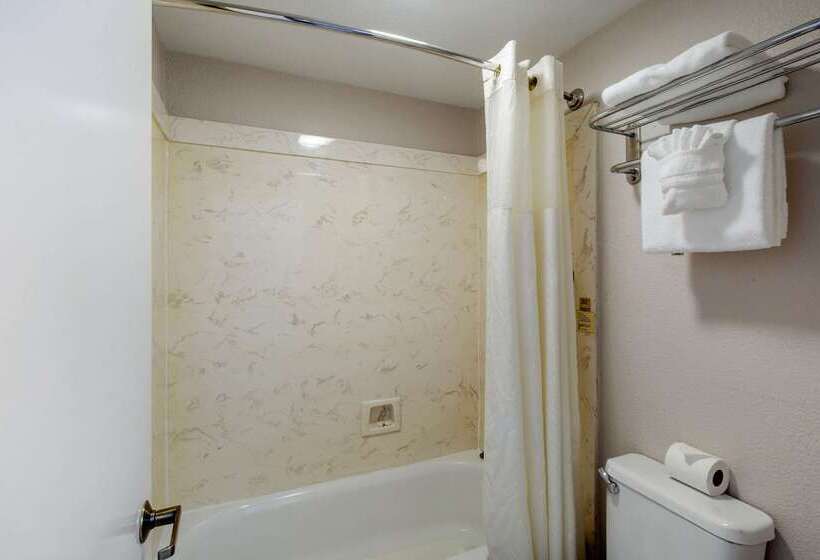 בית מלון כפרי Quality Inn & Suites Port Arthur  Nederland