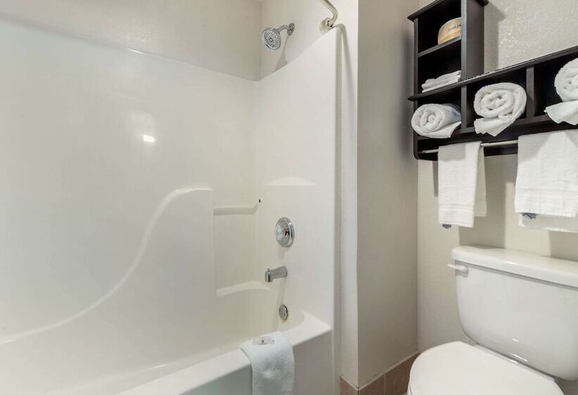 فندق Quality Inn & Suites