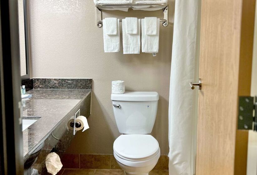 هتل Quality Inn & Suites Wisconsin Dells Downtown   Waterparks Area