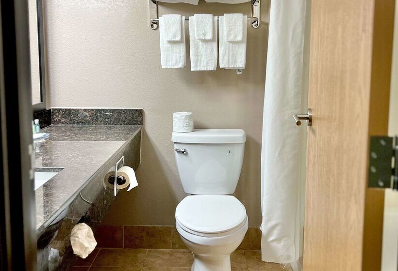 هتل Quality Inn & Suites Wisconsin Dells Downtown   Waterparks Area