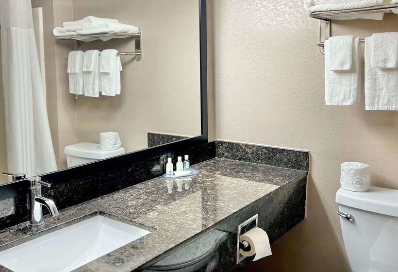 هتل Quality Inn & Suites Wisconsin Dells Downtown   Waterparks Area