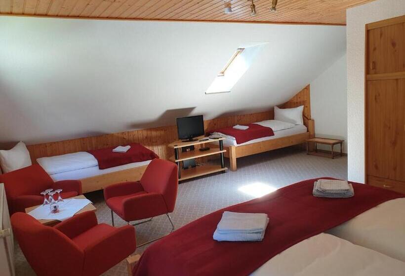 Общежитие Sternhaus Harz
