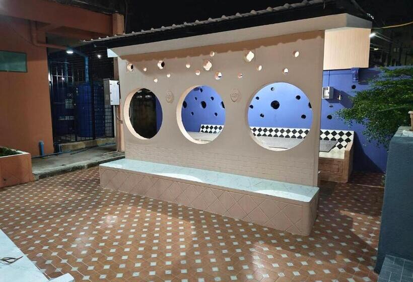 هاستل At Night