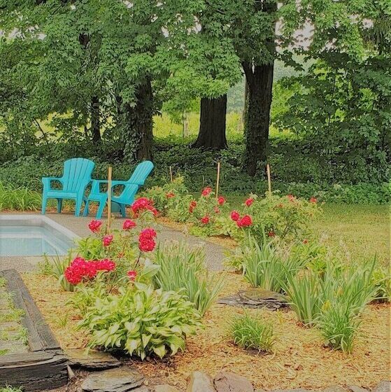 הוסטל Auberge Du Vignoble Bromont