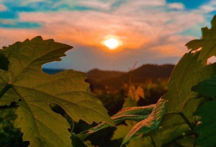 민박 Agriturismo Le Giustizie