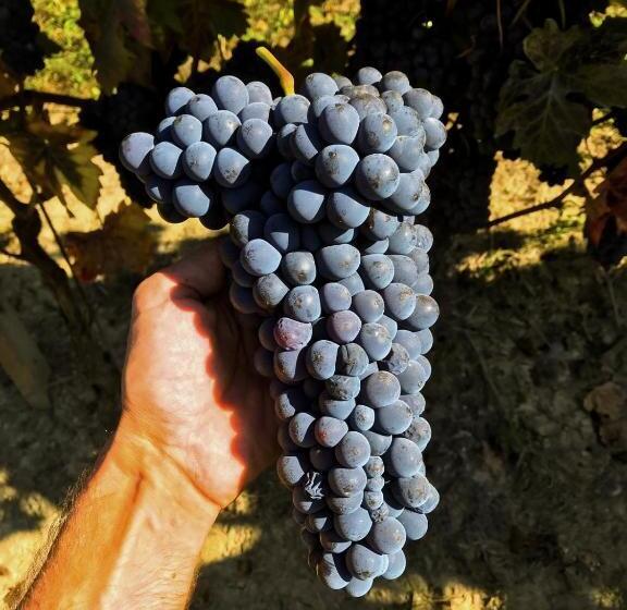 민박 Agriturismo Le Giustizie