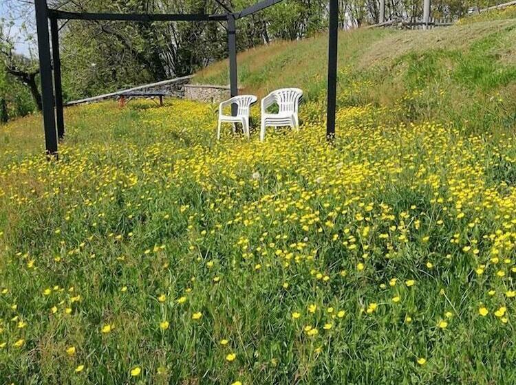 住宿加早餐  Fattoria Del Pino