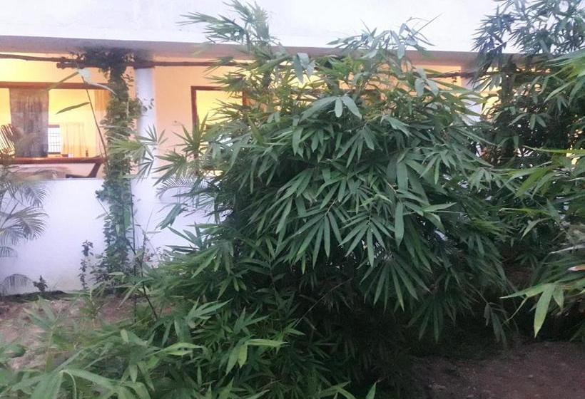 酒店 Alice Paradise By Moonrakers