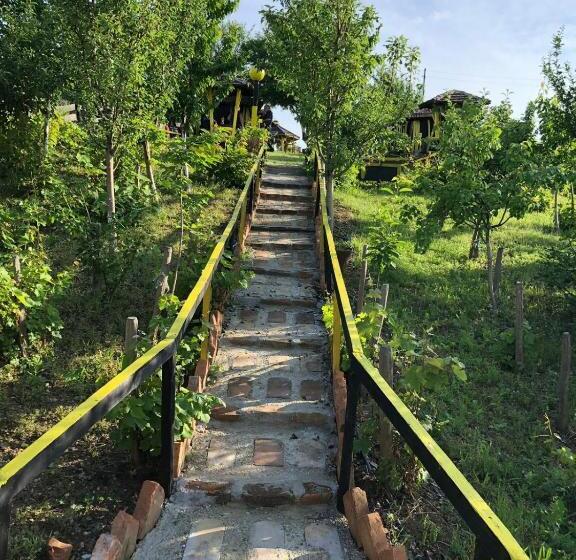 پانسیون Angelinin Konak