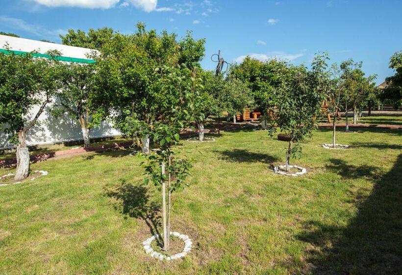 پانسیون Magic Garden By Vlăduț