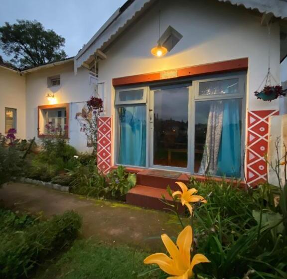 The Birdhouse Backpackers Hostel