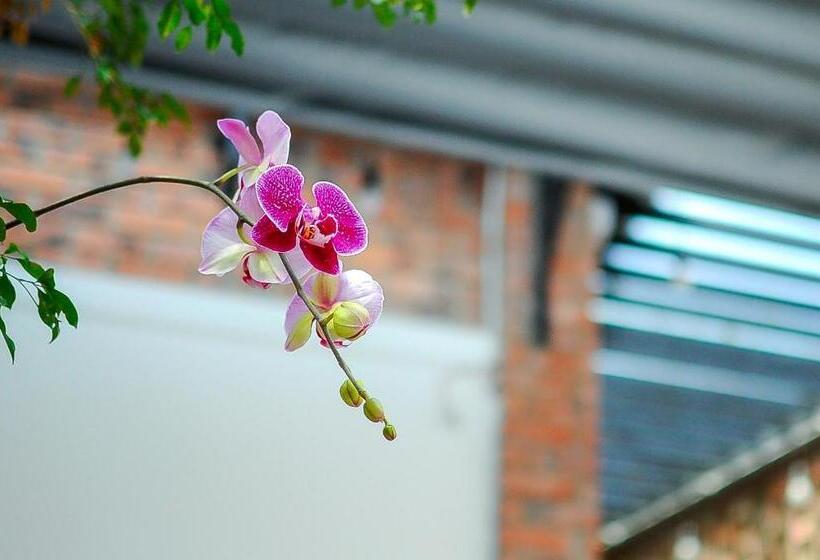 هاستل Chi Homestay #4