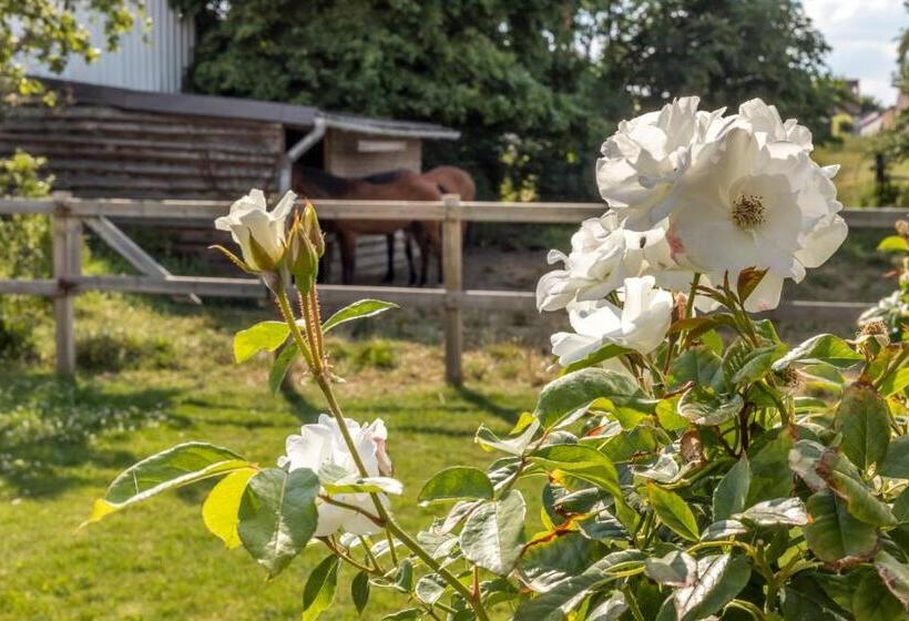 B&b Hostellerie Marie