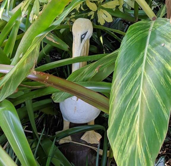 ホテル Tropical Villas Of Venice Beach