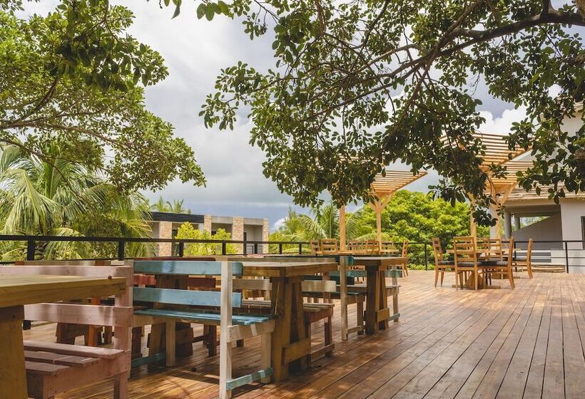 هاستل Mayan Monkey Isla Mujeres   Adults Only