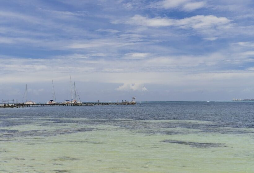 هاستل Mayan Monkey Isla Mujeres   Adults Only