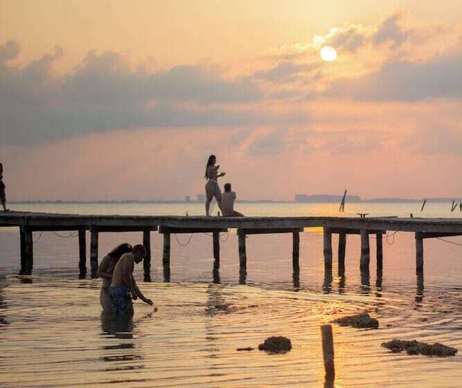 هاستل Mayan Monkey Isla Mujeres   Adults Only