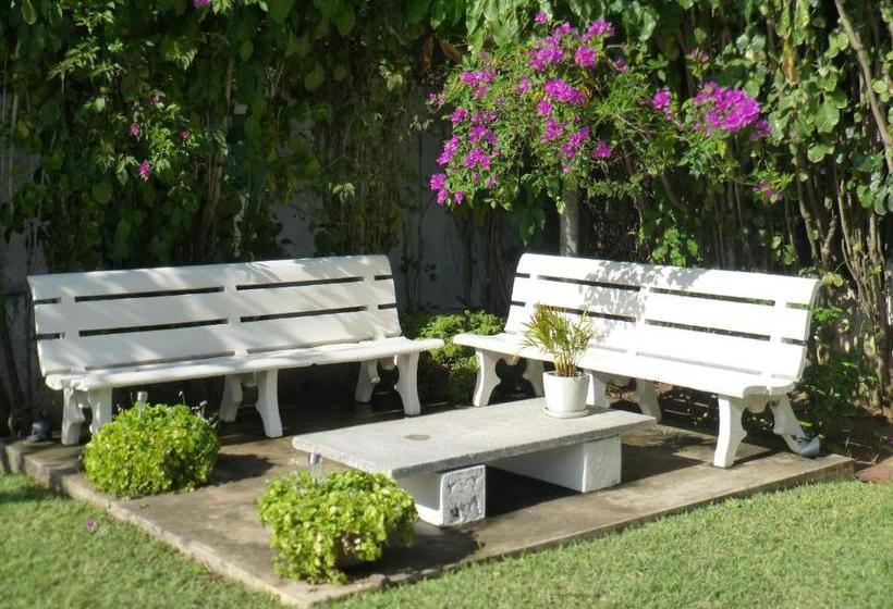 مبيت وإفطار Figtree Guesthouse