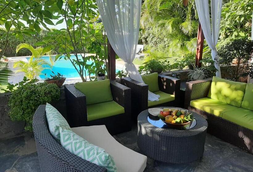 مبيت وإفطار Figtree Guesthouse