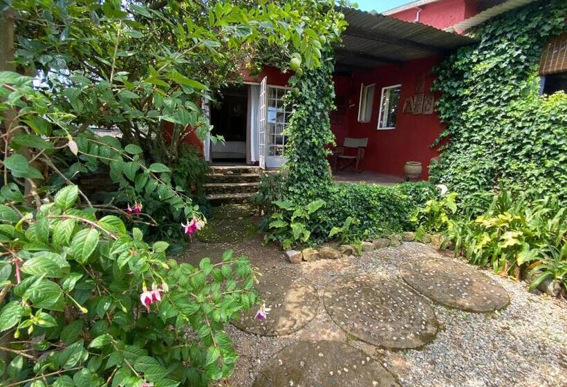 بنسيون Bohemian Garden Cottages